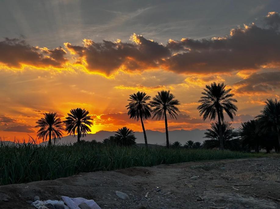 Alshuruq Stay Al Ḩamrāʼ Exterior foto